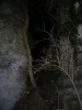 grand_brassac_2006_005.jpg