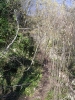 grand_brassac_2006_017.jpg